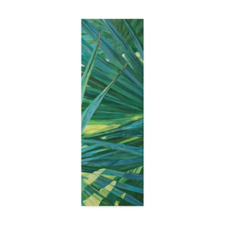 Suzanne Wilkins 'Fan Palm Ii' Canvas Art,8x24